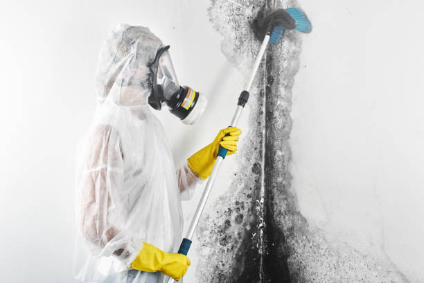 Best Dehumidification Services  in Jefferson, LA